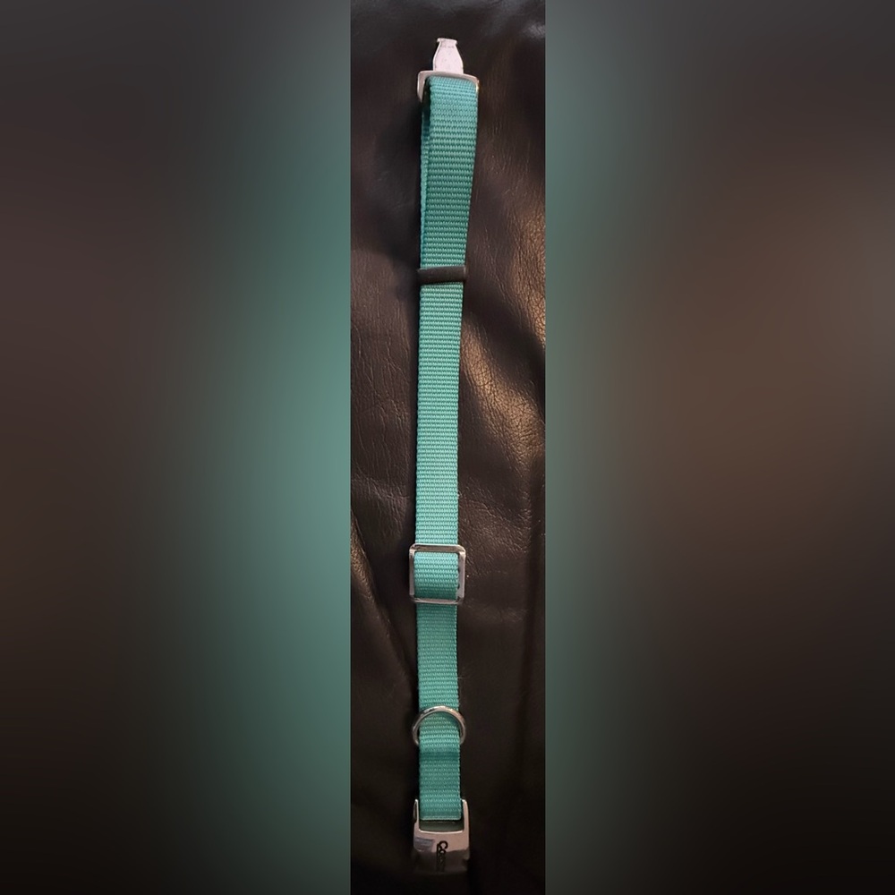 Coastal 3/4 in wide dog collar- teal